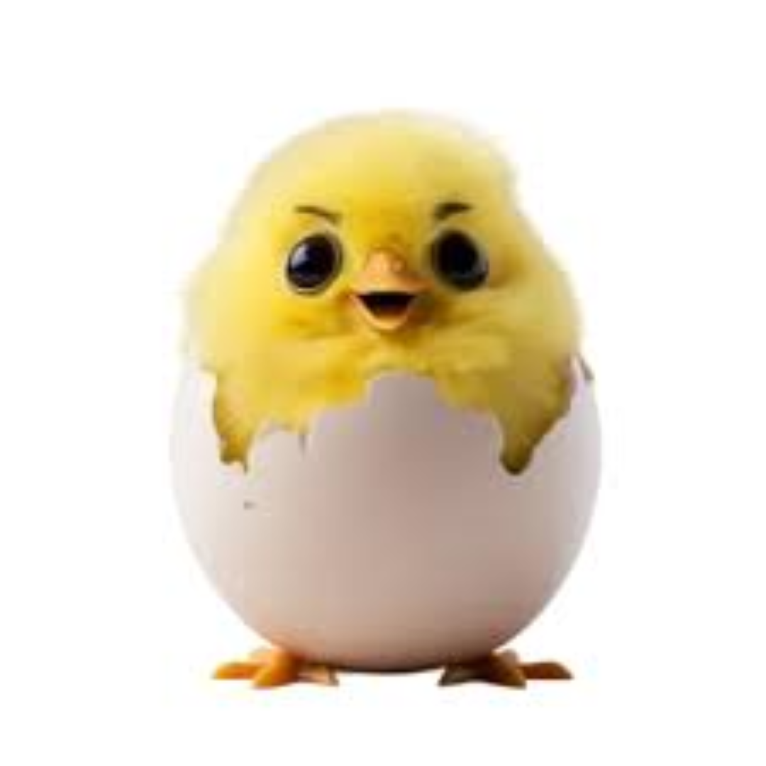 KIDSMANIA CHIRPY CHICK 13G